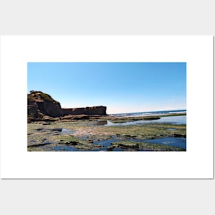 Otter Crest Beach Oregon Posters and Art